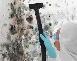 Mold Documentation for Insurance Claims in Pleasant Hill, OH